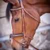 PÉNÉLOPE Pénélope US Bridle -Horse Gear Shop us bridle hazelnut 301 602 318 penelope 31395.1688760854