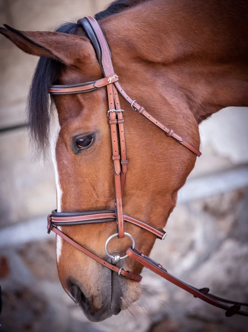 PÉNÉLOPE Pénélope US Bridle 3 PÉNÉLOPE Pénélope US Bridle