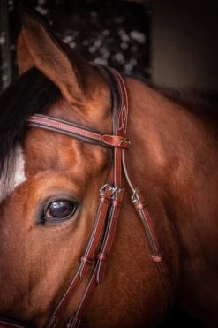 PÉNÉLOPE Pénélope US Bridle 9 PÉNÉLOPE Pénélope US Bridle -Horse Gear Shop us bridle hazelnut brow crown 301 602 318 penelope 08645.1688760552