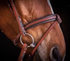 PÉNÉLOPE Pénélope US Bridle 8 PÉNÉLOPE Pénélope US Bridle -Horse Gear Shop us bridle hazelnut noseband side 301 602 318 penelope 05577.1688760560