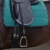 Passier Velvet Touch Mono Stirrup Leathers -Horse Gear Shop velvet touch mono leather saddle 030 passier 36176.1684543409