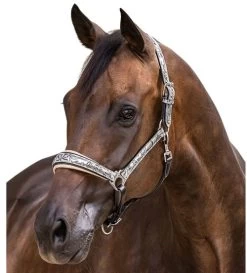 Halter Ego Venetian Floral Halter -Horse Gear Shop venetian floral halter slvr crm halter ego 46536.1682705257